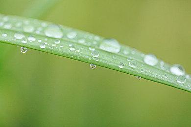 经典好评末日题材《轨道之下》新DLC“重责”发布